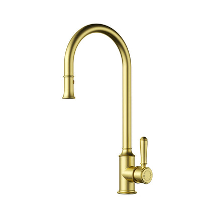 Clasico Sink Mixer Pull-Out - brushed-gold / Standard Handle