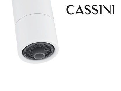 Cassini Renzo Goose Neck 3-Way Filter Tap