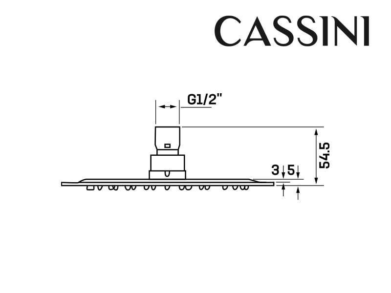 Cassini Renzo Shower Head