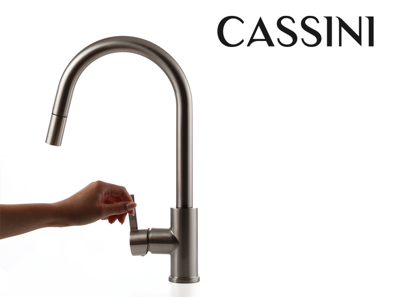 Cassini Goose Neck Pull Out Sink Mixer