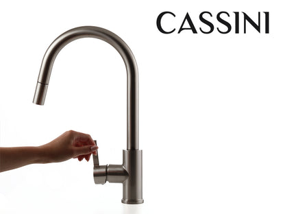 Cassini Goose Neck Pull Out Sink Mixer