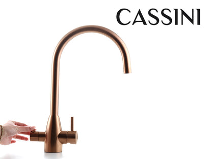 Cassini Renzo Goose Neck 3-Way Filter Tap