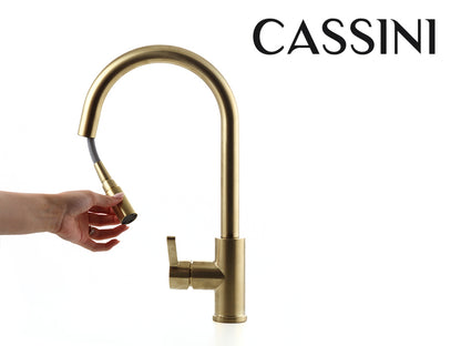 Cassini Goose Neck Pull Out Sink Mixer