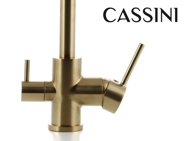 Cassini Renzo Goose-Neck 3-Way Mixer Tap