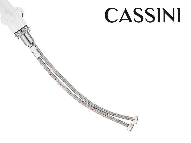 Cassini Renzo Goose Neck 3-Way Filter Tap