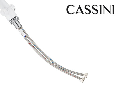 Cassini Renzo Goose Neck 3-Way Filter Tap